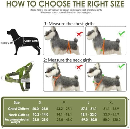 SlowTon No Pull Dog Harness and Leash Set - Heavy Duty, Soft Padded - Image 6