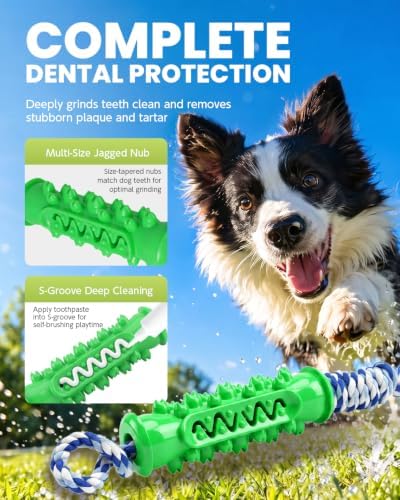 Dog Chew Toys with Rope, Toothbrush Toy for Medium Large Dog Green - Image 3