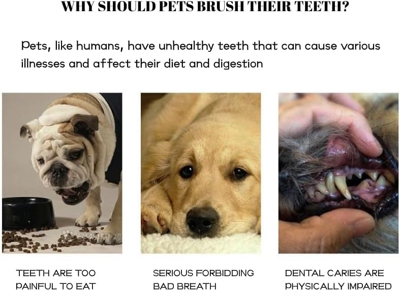 Pet Finger Toothbrush Set – Soft Silicone Toothbrush for Dogs & Cats – Gentle Finger Brush for Small Pets Dental Care (Clear Box Set) - Image 4