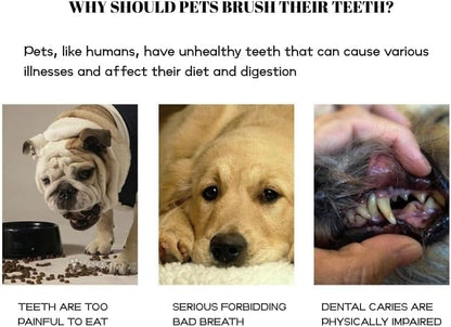 Pet Finger Toothbrush Set – Soft Silicone Toothbrush for Dogs & Cats – Gentle Finger Brush for Small Pets Dental Care (Clear Box Set) - Image 4