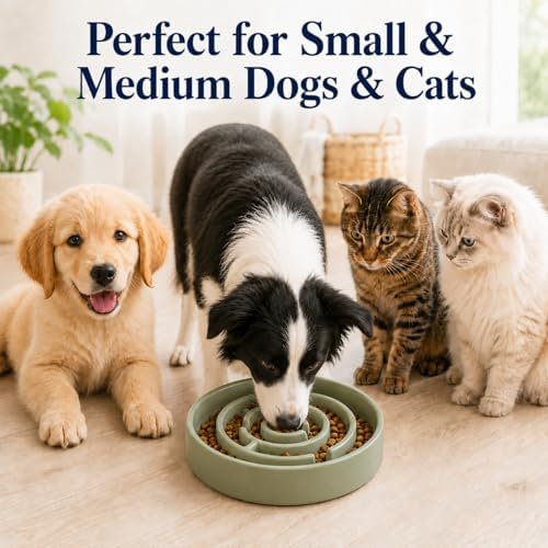 Ceramic Slow Feeder Dog Bowl 1.5 Cup Puzzle Dish for Small Medium Dogs - Image 3