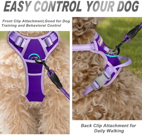 BARKBAY Dog Harness No Pull for Small Sized Dog Front Back Clips,Dog Vest - Image 2