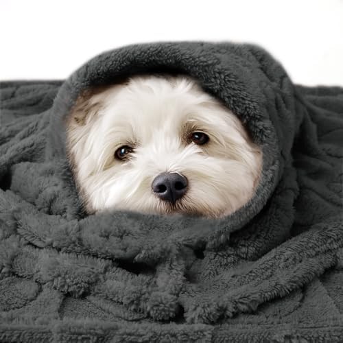 Luciphia Small Dog Blanket Washable Pet Bed Cover Soft Fluffy Puppy Blanket with Premium Fleece 300GSM Cozy Calming Cat Blankets for Indoor Cats Grey 41x31 inch - Image 6