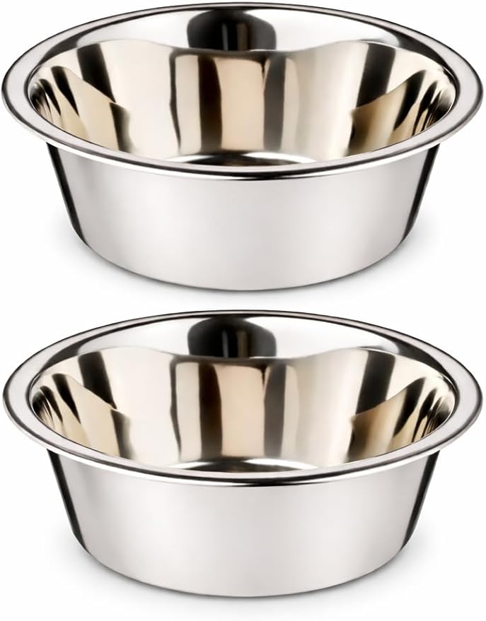 Stainless Steel Dog and Cat Bowls, Pack of 2, Replacement Bowl for Pets (14oz)