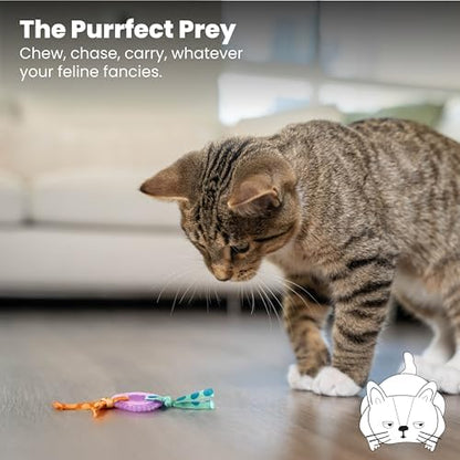 Catstages Kitty Chew Wheel, Dental Cat Toy with Catnip Oil, Teeth Cleaning, Healthy Chewing, Boredom Relief, Kicking & Batting for Kittens and Adult Cats, Purple (Pack of 2) - Image 6