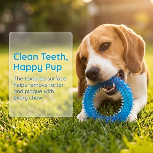 Beiker 20 Pack Puppy Chew Toys, Dog Teething Toys for Puppies Small Dogs - Image 4
