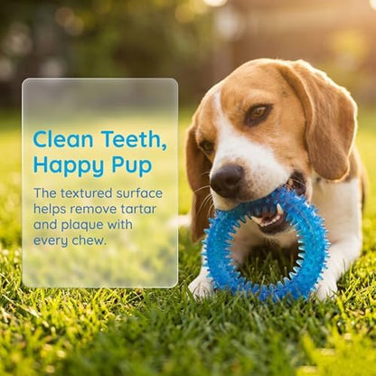 Beiker 20 Pack Puppy Chew Toys, Dog Teething Toys for Puppies Small Dogs - Image 4