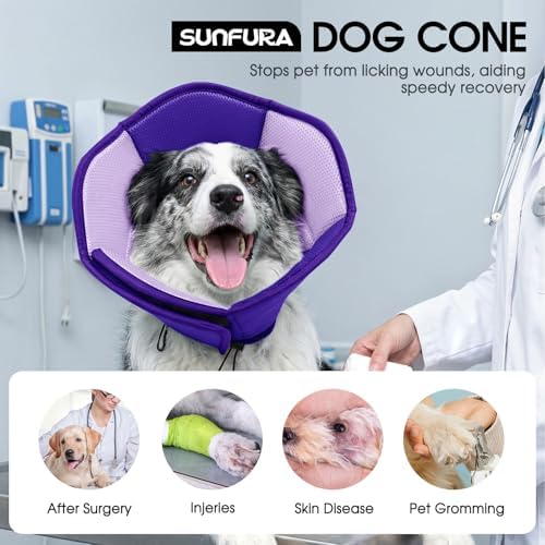 Dog Cone Soft Cone for Dogs to Stop Licking - Image 2