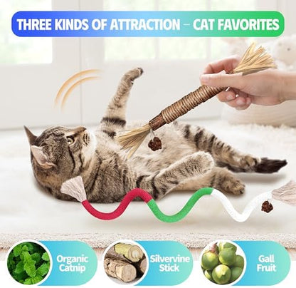 Silvervine Sticks Cat Chew Toys for Indoor Cats Dental Care Teeth Cleaning, Natural Kitten & Cat Teething Toys for Health, Catnip Toys Cat Chew Rope Suitable for All Breeds of Aggressive Chewers Cat - Image 2