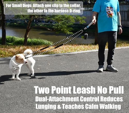 Two Point Control & Hands Free Dog Leash No Pull Black Large Dogs - Image 2