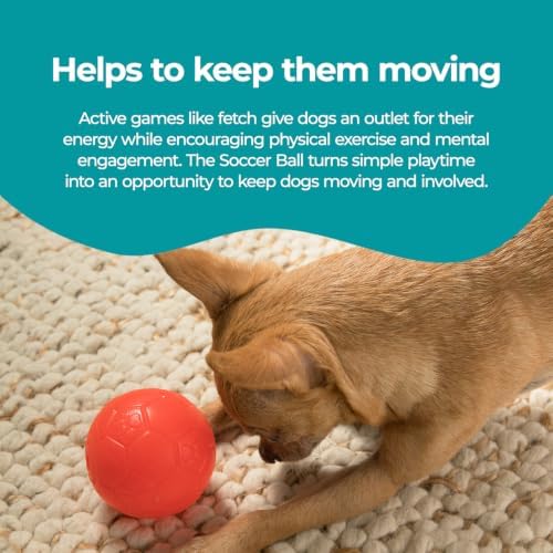 Jolly Pets Mini Soccer Ball Dog Toy, 4 in, Orange - Durable - Image 4
