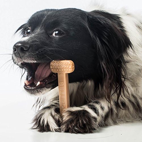 Bullibone Nylon Dog Chew Toy for Aggressive Chewers - Dental Hygiene Bone with Bacon Flavor, Durable Tough Chew Toys for Small Dogs, Indestructible Dog Bone - Single - Image 7