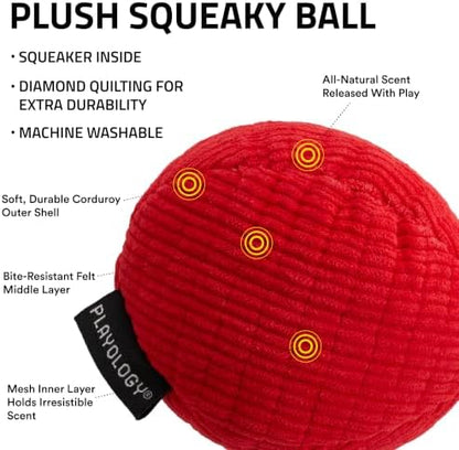 Playology Durable Plush Ball Toy - Crinkle Ball - Jumbo, Beef Scent - Image 2