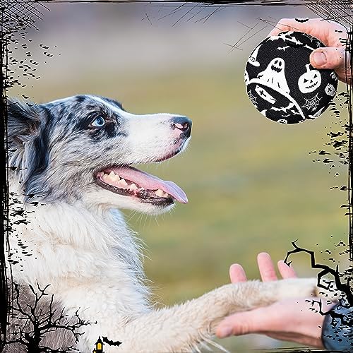 6 Pcs Halloween Dog Tennis Balls 2.5" Pet Chew Toys Training - Image 4