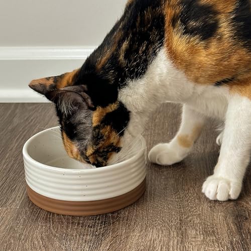 Mora Ceramic Pet Bowl Size Small - Food/Water Dish for Puppy Dogs, Cats, Guinea Pig, Rabbit, Hamster, Snake, ect. 11oz or 2 Cups - Basic Bowls for Your Dog or Cat, Mix and Match for a Set - Vanillla - Image 7