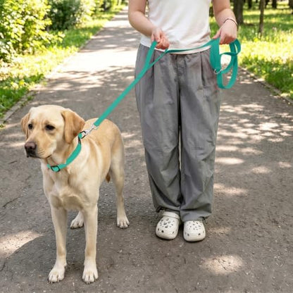 Waterproof Dog Leash with Double Handle, 6 FT Durable Odor-Proof Dog Leashes with Strong Aviation Aluminum Hooks Fits Small Medium or Large Dogs - Image 5