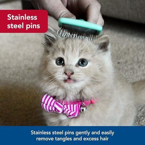 Coastal Pet Li'l Pals - Kitten Slicker Brush with Coated Tips - Image 3
