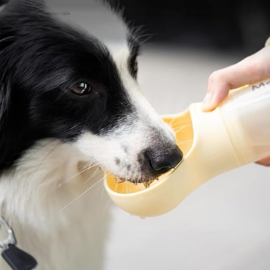 Bone Shaped Pet Water Bottle with Poop Bag Dispenser - Leak-Proof Portable Pet Travel Water Dispenser with Drinking Bowl for Walking, Hiking, & Outdoors, Yellow