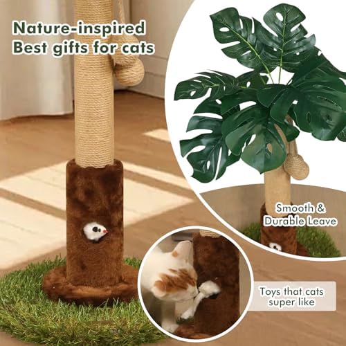 Woochpet 25" Kitten Scratching Post,sisal cat Scratcher Tree with Leaves - Image 3