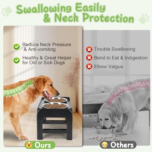 Elevated Bowls with Adjustable Heights - Raised Stand with 2 Stainless Steel Food Bowls, Non-Slip Foldable Feeder for Medium Large Dogs, Adjusts to 12.36", 10.75", 9.2", 3.7", Black - Image 3