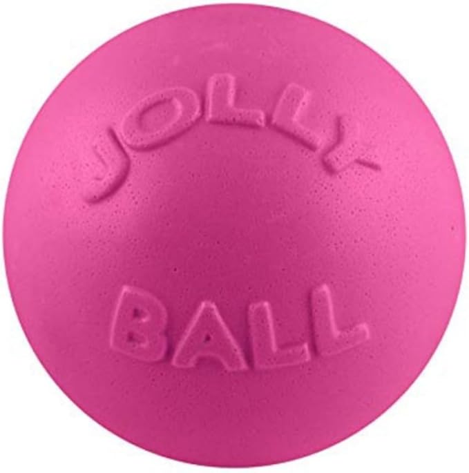 Jolly Pets Toys 881155 Jolly Bounce-N-Play Dog Toy, 4.5-Inch, Pink