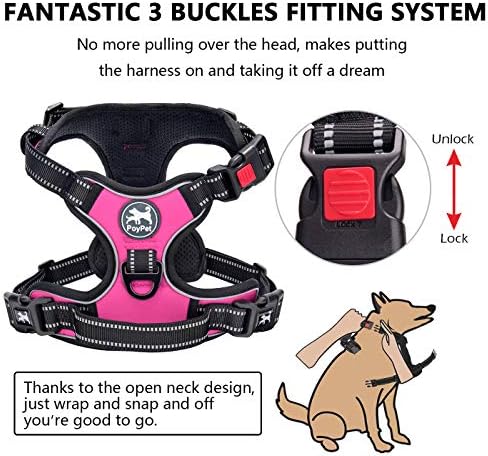 PoyPet No Pull Dog Harness Large with Front Clip & Neck Release Buckle - Image 2