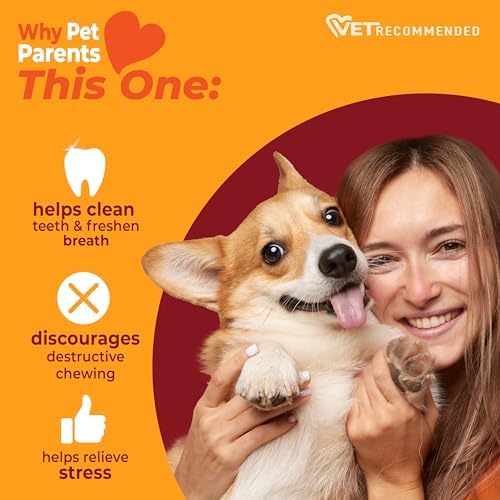 Nylabone Strong Chew Femur Bone Dog Toy, Dog Bone for Aggressive Chewers - Image 4