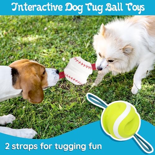 LECHONG Dog Balls with Straps for Tugging 2 Pcs, Interactive Dog Toys, Puppy Toys to Keep Them Busy, High Bouncy Balls for Dogs, Tennis Ball Base Ball Toys - Image 2
