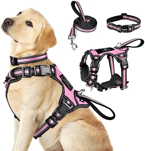 WINSEE Pet Harness Collar and Leash Set, All-in-one Reflective Dog Harness No Pull with Adjustable Buckles for Puppies, Small, Medium, Large, and Extra-Large Dogs (Large, Pink) by WINSEE