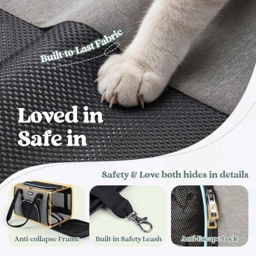 rabbitgoo Cat Carrier Soft with Safety Buckles, Sturdy Comfortable Pet Bag - Image 2