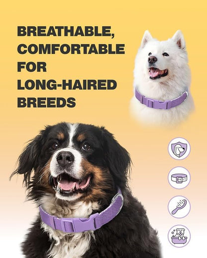 Dynmeow Soft and Breathable Cotton Dog Collar, Durable Adjustable Heavy-Duty Female Girl Pet Collar with Quick-Release Buckle, Lightweight for Sensitive Skin for Large Dogs, Purple, L