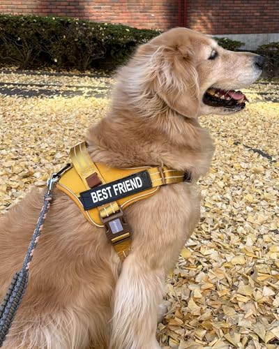AUROTH Dog Harness and Leash Set for Large Sized Dog, No Pull Dog Vest - Image 2