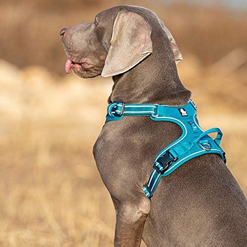 TRUE LOVE Dog Harness No Pull Nylon Reflective Pet Harness Adjustable Comfortable Control Step-in Brilliant Colors Truelove TLH56512 XS Blue - Image 6