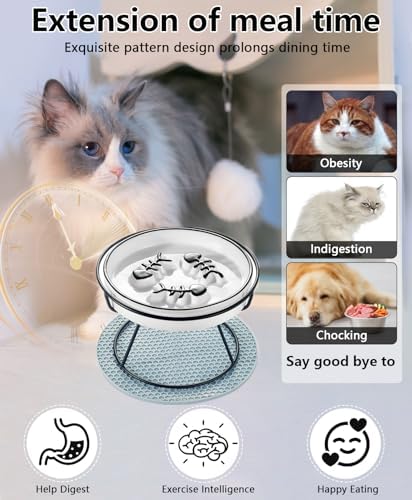 Ceramic Elevated Slow Feeder Cat Bowl, Anti Vomit, Removable Dish, Black - Image 3