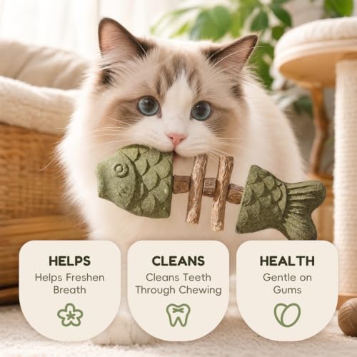 2026 Upgraded 2 Pack Fish Bone Cat Dental Toy, Natural Catnip & Silvervine Dental Chew Sticks, Effective Cat Teeth Cleaning, Long-Lasting Wooden Feline Oral Care Tool - Image 2