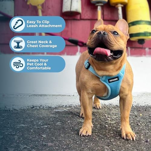 Best Pet Supplies Voyager Adjustable Step-in Flex Breathable Mesh Dog Harness for Small Medium Large Dogs Leash Set (Baby Blue), L - Image 5
