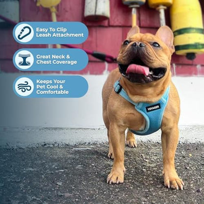 Best Pet Supplies Voyager Adjustable Step-in Flex Breathable Mesh Dog Harness for Small Medium Large Dogs Leash Set (Baby Blue), L - Image 5