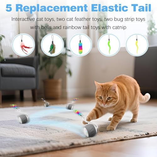 Upgraded 2.36 Inch Large Interactive Cat Toys Ball for Indoor Cats, Gray - Image 4