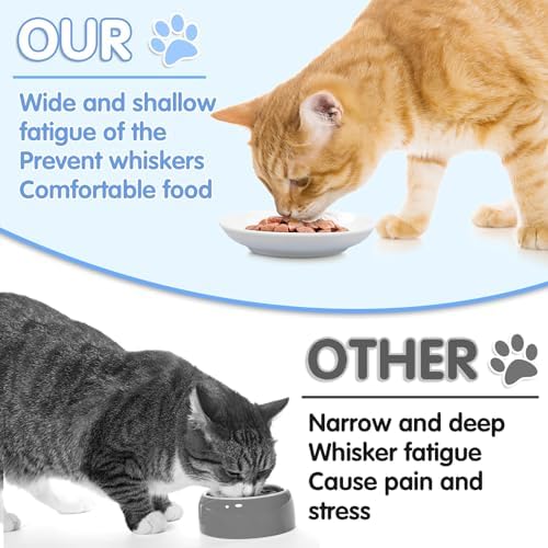 6 Pack Cat Food Bowl, Ceramic Cat Bowls, Anti Whisker Fatigue Cats Bowl Set - Image 3