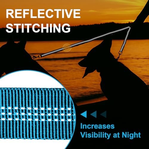 MingXpet Double Dog Leash for Two Dogs, No Pull Dog Leash, 360° Swivel No Tangle for Large Dogs Walking & Training, Shock Absorbing Reflective Bungee, Blue - Image 5