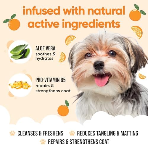 Orange Dog Shampoo by Buddycare | Deep Cleansing Shampoo for Dogs | Orange Scented | with Aloe Vera and Pro Vitamin B5 (16.9oz) - Image 3
