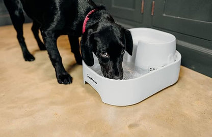 Dog Mate Large Multi-Level Pet Water Fountain (385) - Water Drinking Station for Dogs and Cats, Designed for Easy Hydration, 200 fl. oz. Capacity, White