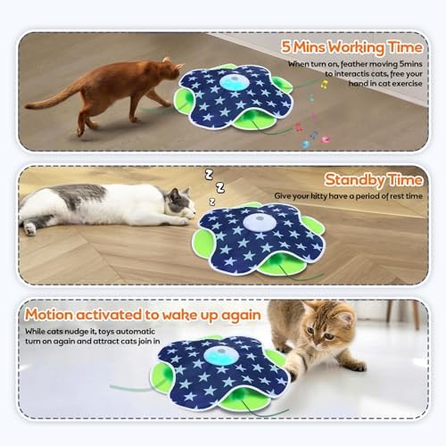 Oxawo Interactive Cat Toys for Indoor Cats Kittens Mat Toy - Image 4