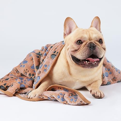 1 Pack 3 Blankets Super Soft Fluffy Premium Fleece Pet Blanket Flannel Throw for Dog Puppy Cat Paw Brown Large(41x31 inch) - Image 5