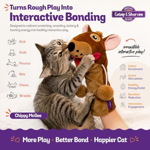 Meow Mitt Wearable Cat Wrestling Glove Puppet - Squirrel - Image 4