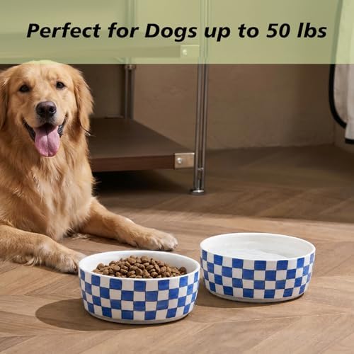6.4 inch Ceramic Hand Painted Basic Dog Bowl Set of 2 with Anti-Skid Rubber Base, Food and Water Bowls for Small Pets,Blue - Image 4