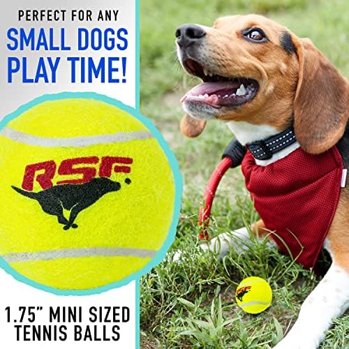 Franklin Sports Ready Set Fetch Mini Squeaker Tennis Ball - 12 Pack - Image 3
