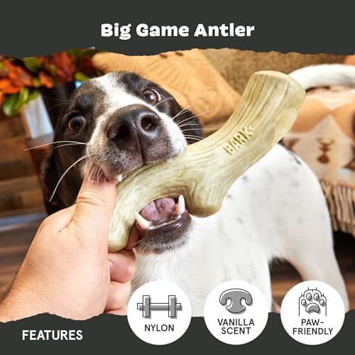BarkBox Big Game Antler Super Chewer - Toy for Large Dogs - Image 4