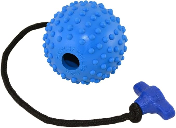 Ray Allen Ball On Rope Toy - Professional Quality Dog Training (Blue w/T-Handle, 3")