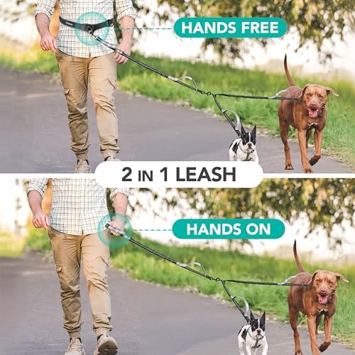 PetAmi Hands Free Double Dog Leash with Padded Lumbar Waist Belt, 360 No-Tangle Swivel Coupler, Bungee Shock Absorbing Dual Leash for Two Dogs Medium Large, Reflective, Black - Image 6